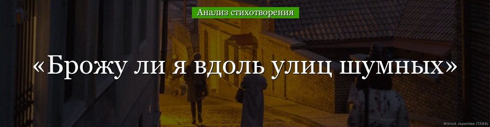 Анализ стихотворения Пушкина «Я брожу по шумным улицам