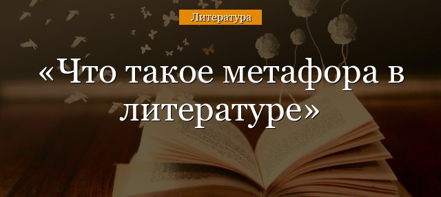 Что такое метафора в литературе