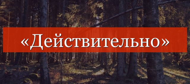 «Действительно» выделяется запятыми или нет?