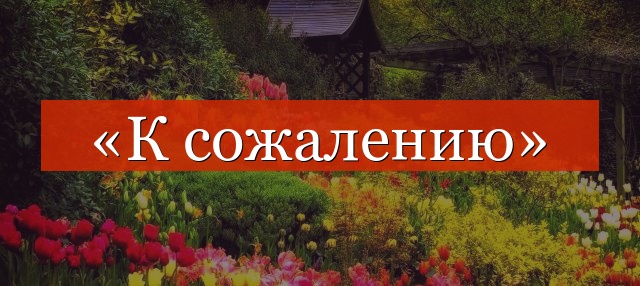 «К сожалению» отделяется запятой или нет?