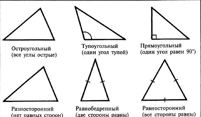 Полигон