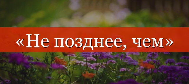 Нужна ли в слове «последний» запятая?