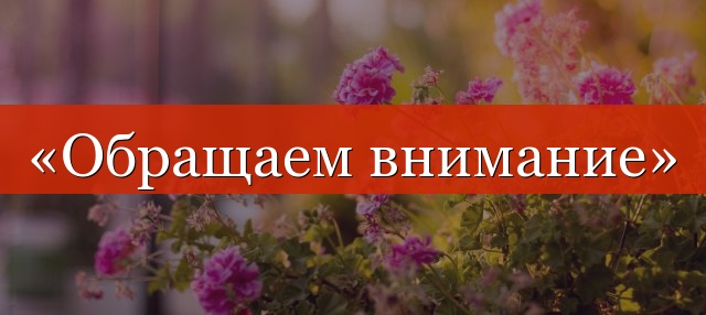 «Обращаем внимание» запятые нужны или нет?