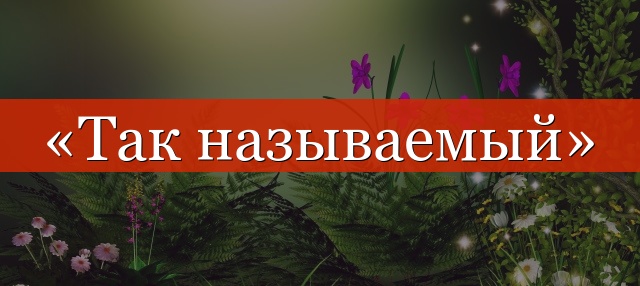 «Так называемая» запятая разделяется или нет?