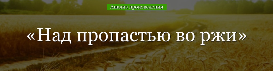 Анализ «Над пропастью во ржи» Сэлинджер