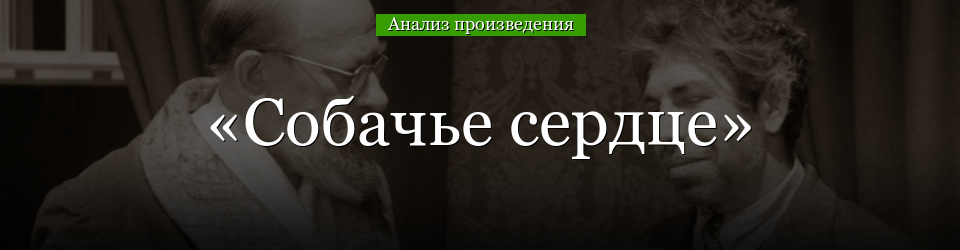 Анализ «Собачье сердце» Булгаков