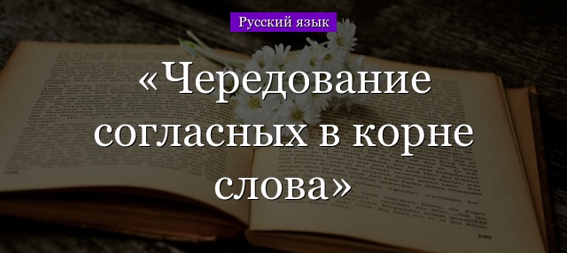 Чередование согласных в корне слова