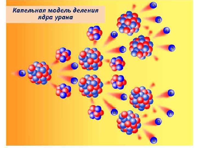 Деление ядра атома урана