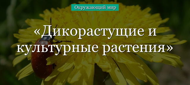 Дикорастущие и культурные растения