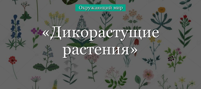 Дикорастущие растения