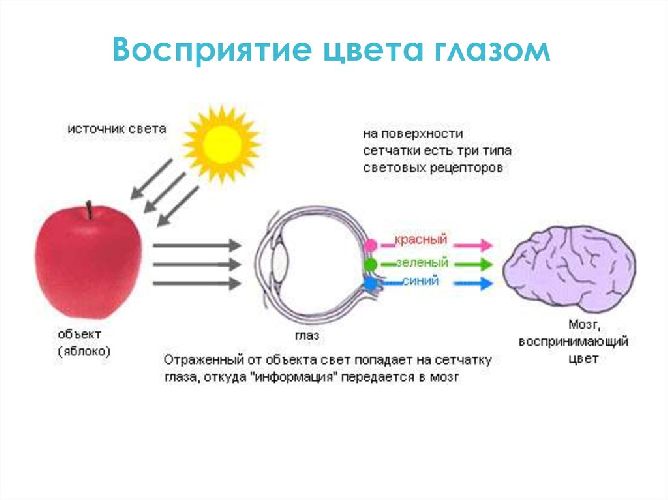 Электромагнитная природа света