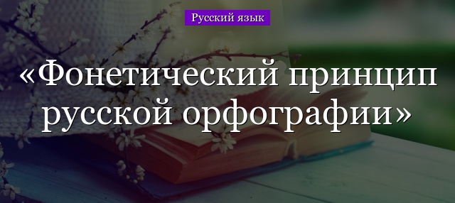 Фонетический принцип русской орфографии