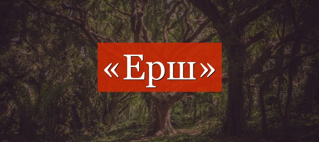 Фонетический разбор слова «ерш»