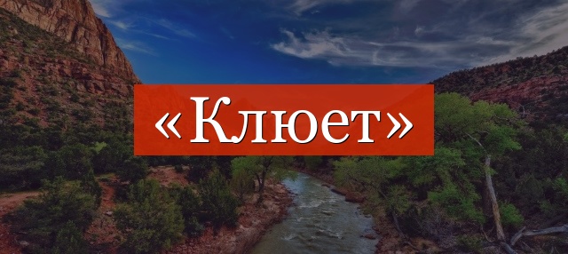 Фонетический разбор слова «клюет»