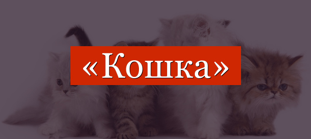 Фонетический разбор слова «кошка»