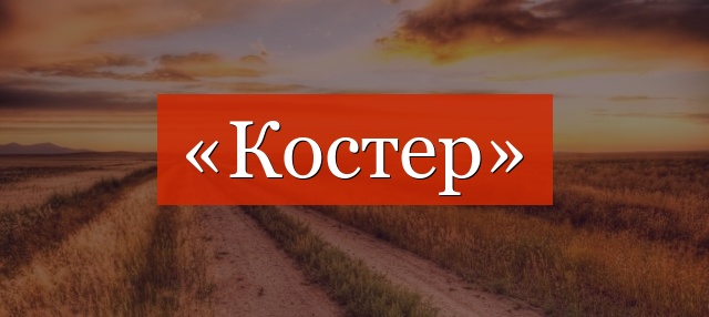 Фонетический разбор слова «костер»