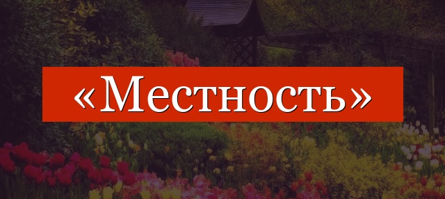 Фонетический разбор слова «местность»