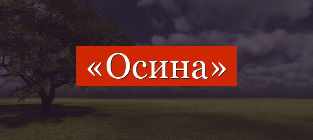 Фонетический разбор слова «осина»