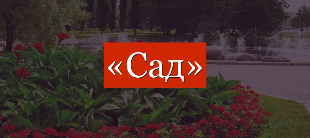 Фонетический разбор слова «сад»