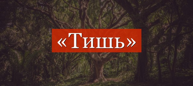 Фонетический разбор слова «тишь»