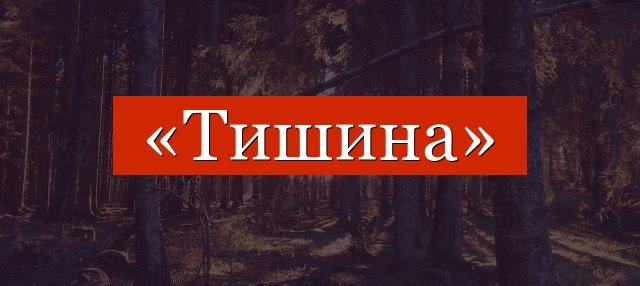 Фонетический разбор слова «тишина»