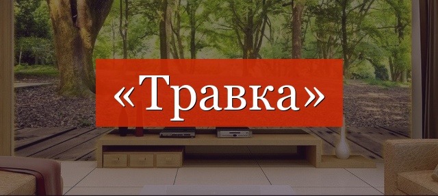 Фонетический разбор слова «травка»