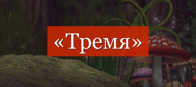 Фонетический разбор слова «тремя»