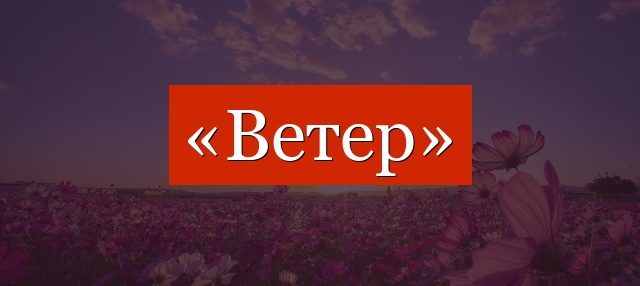 Фонетический разбор слова «ветер»