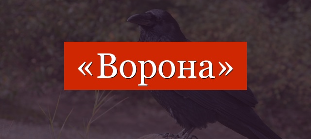 Фонетический разбор слова «ворона»