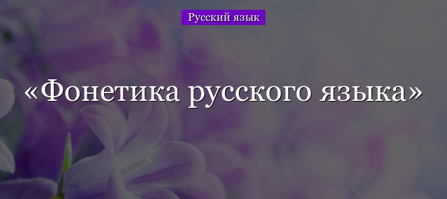 Фонетика русского языка