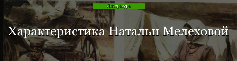 Характеристика Натальи Мелеховой