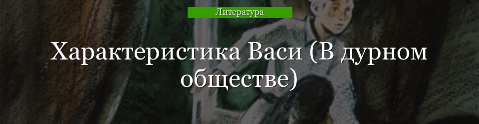 Характеристика Васи (В дурном обществе)