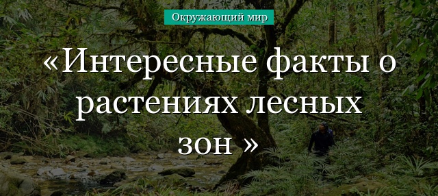 Интересные факты о растениях лесных зон 