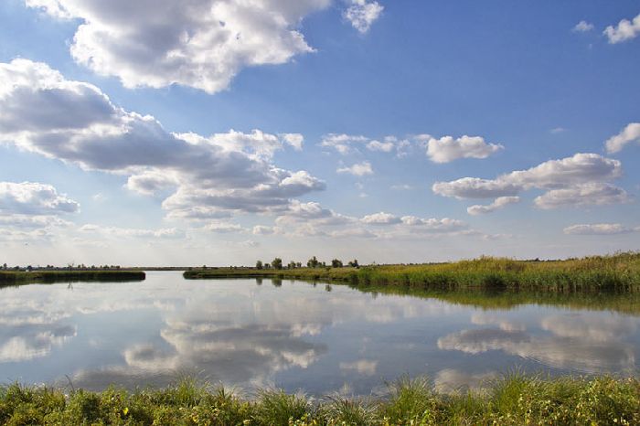 Как охраняют воду от загрязнения?