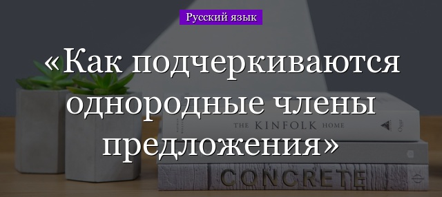 Как подчеркиваются однородные члены предложения