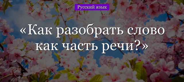 Как разобрать слово как часть речи?