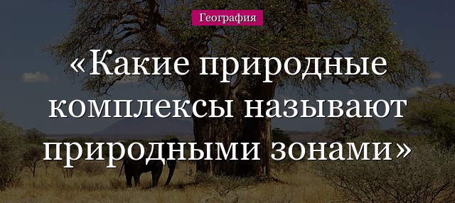 Какие природные комплексы называют природными зонами