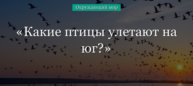 Какие птицы улетают на юг?