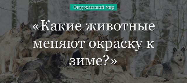 Какие животные меняют окраску к зиме?