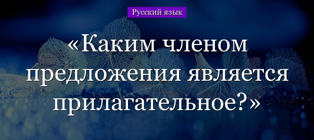 Каким членом предложения является прилагательное?