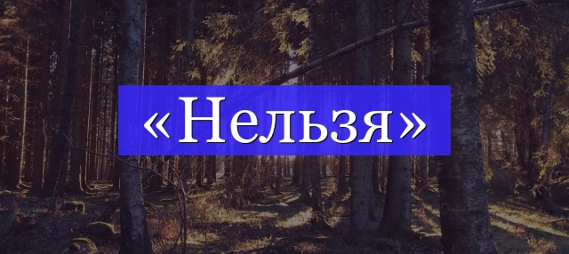 Корень слова «нельзя»