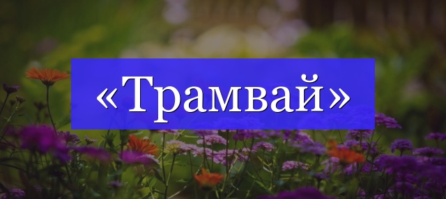 Корень слова «трамвай»