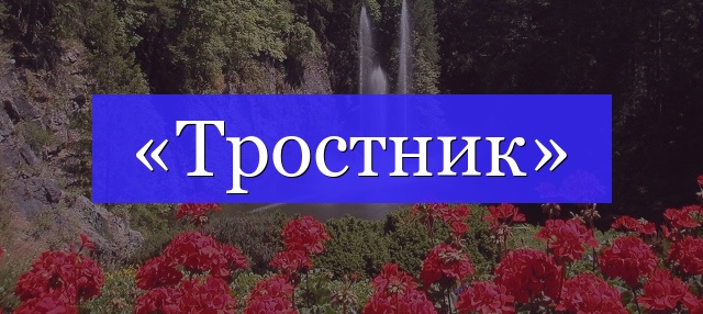 Корень слова «тростник»