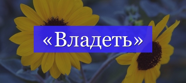 Корень слова «владеть»