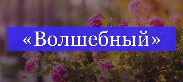 Корень слова «волшебный»