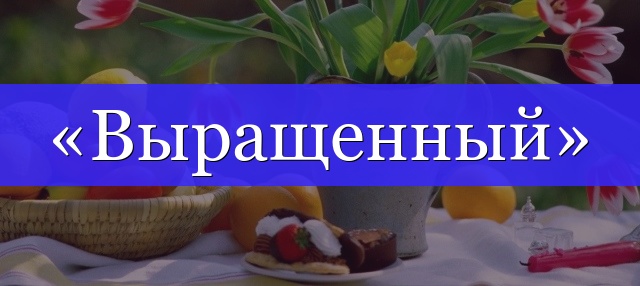 Корень слова «выращенный»