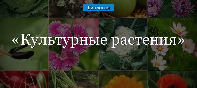 Культурные растения