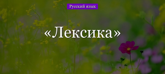 Лексика