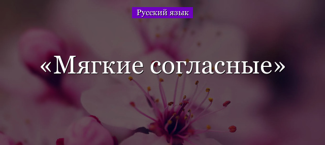 Мягкие согласные