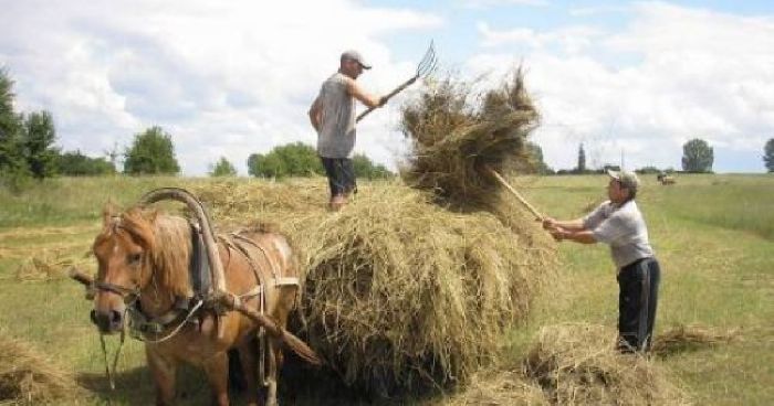 Население Украины